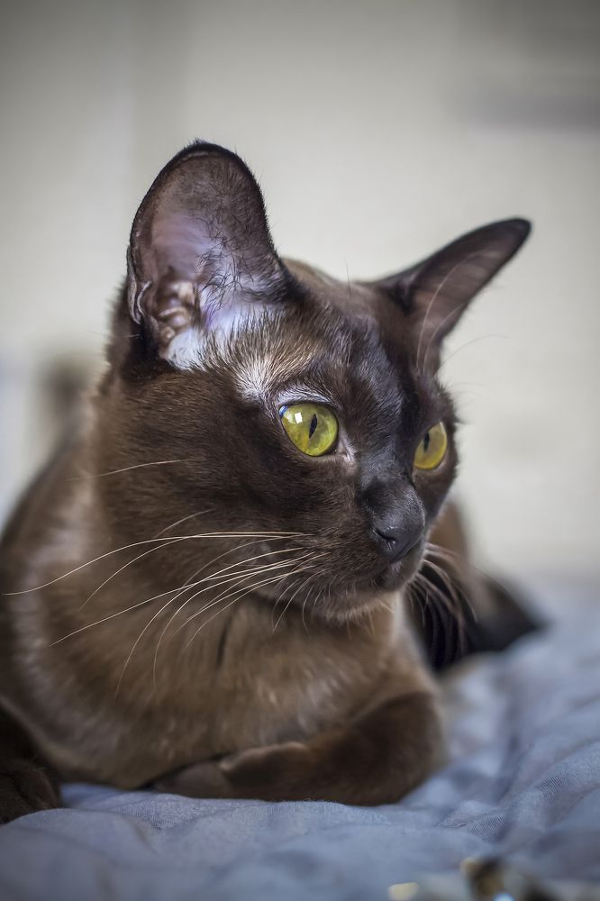 Photograph by Лебедь Алина