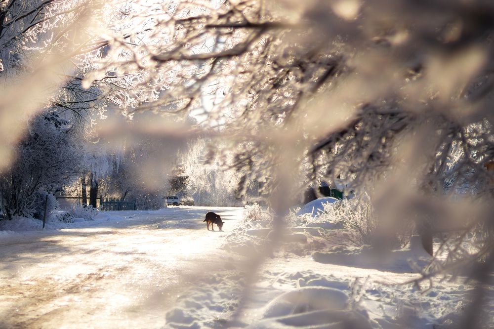 Photograph by Екатерина Федотова