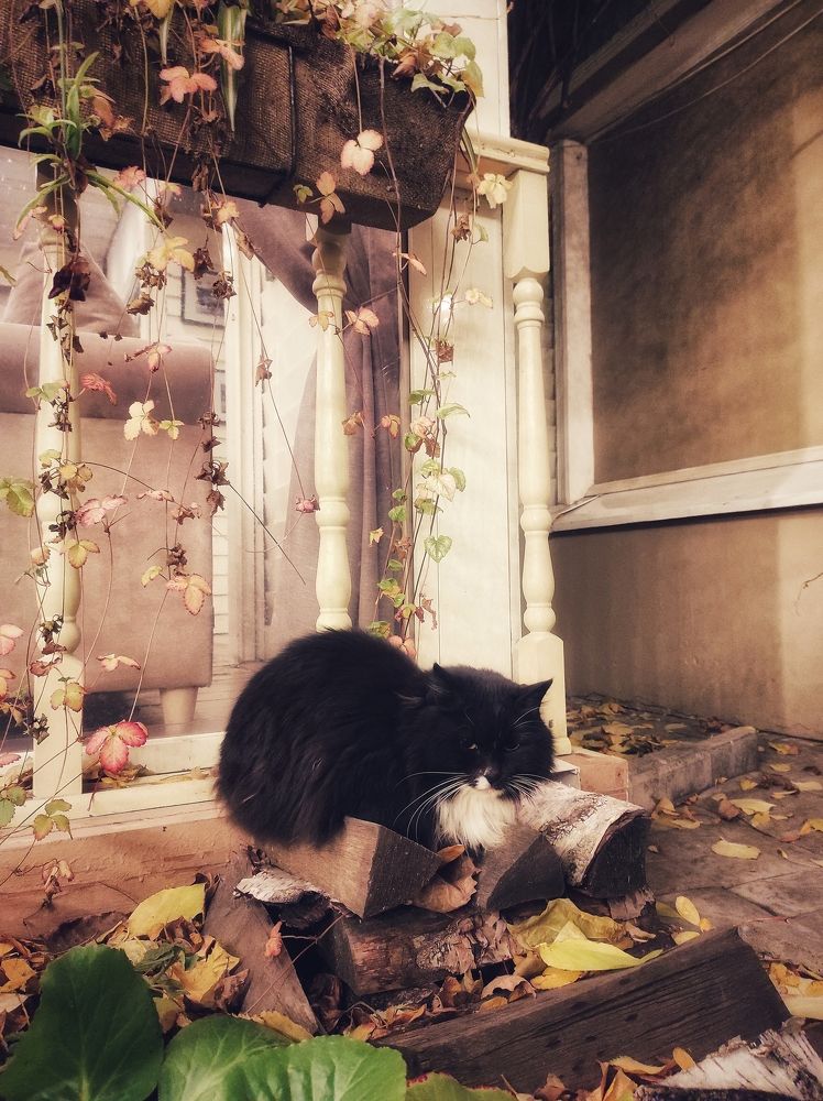 Photograph by Вячеслав Щёголев