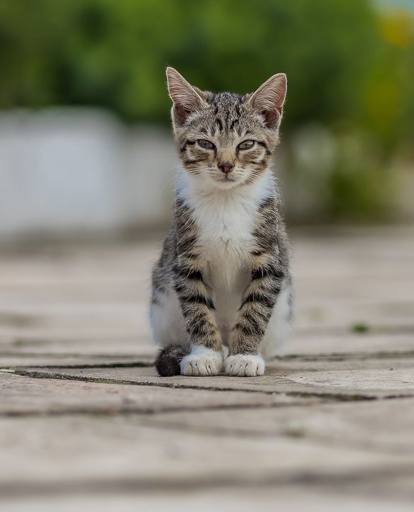 Фотография автора Rom@shkin