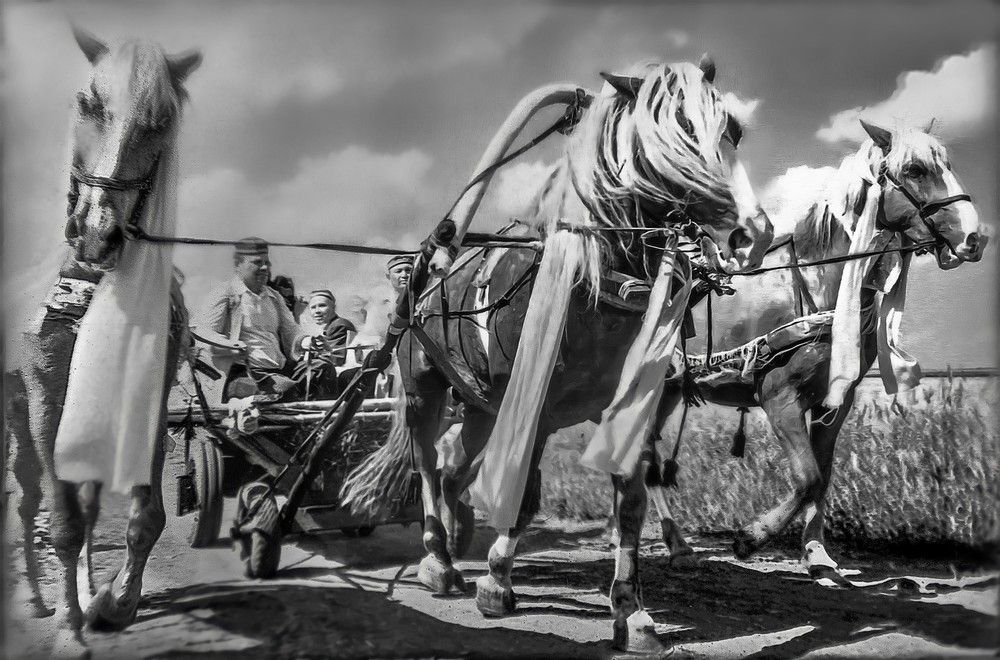 Photograph by Илья Чирков