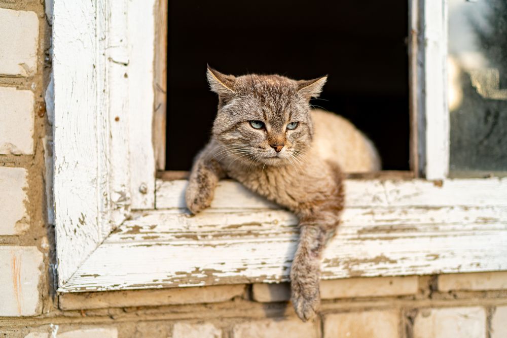 Photograph by Андрей Шишлов