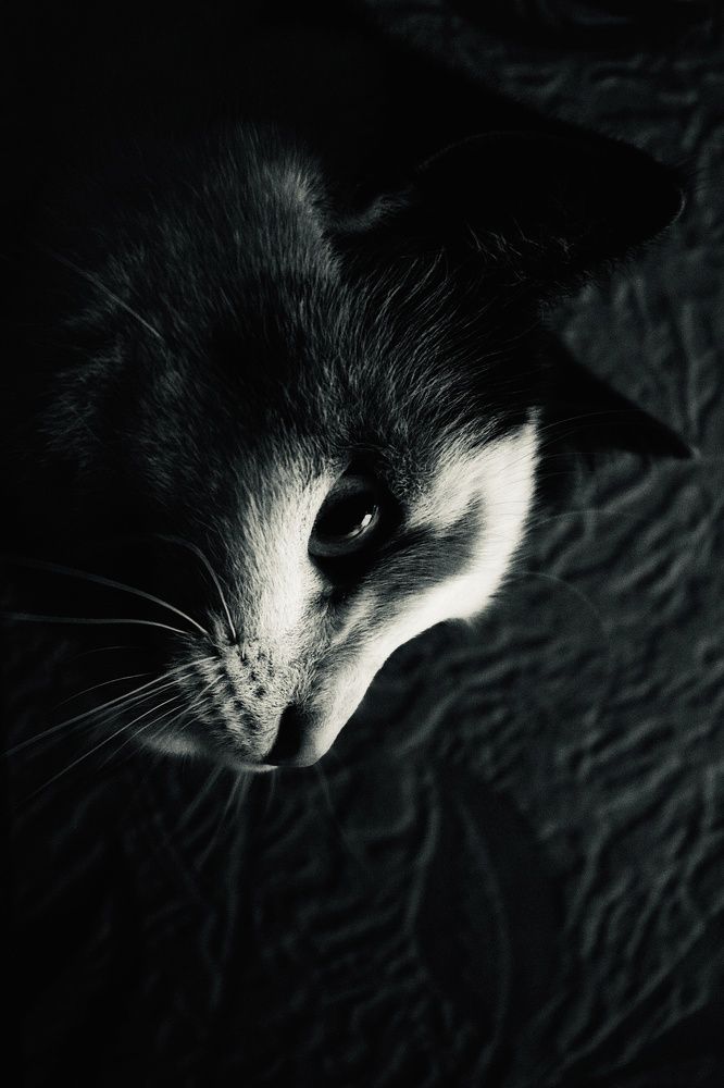 Photograph by Артем Порубаев