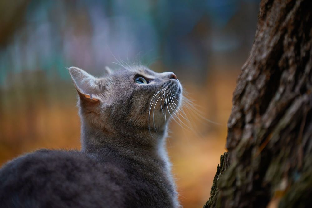 Photograph by Андрей Халемонец