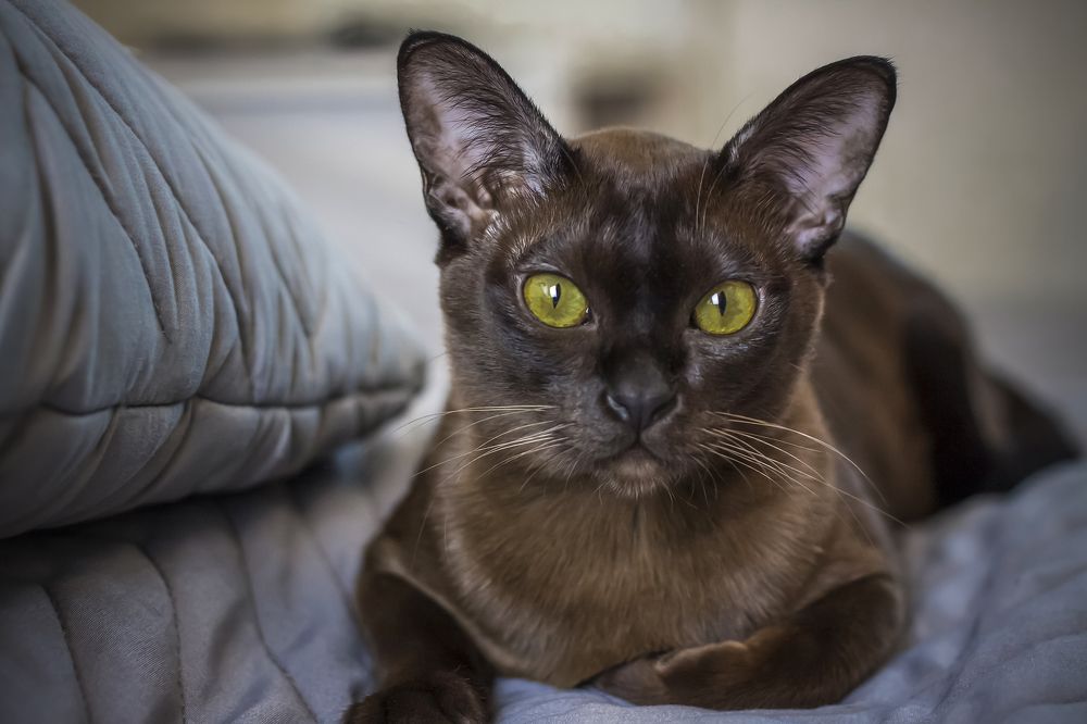 Photograph by Лебедь Алина