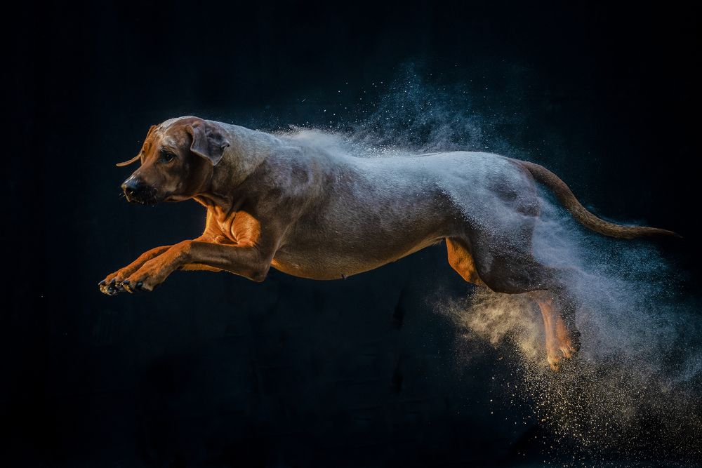 Photograph by Flora Jakab