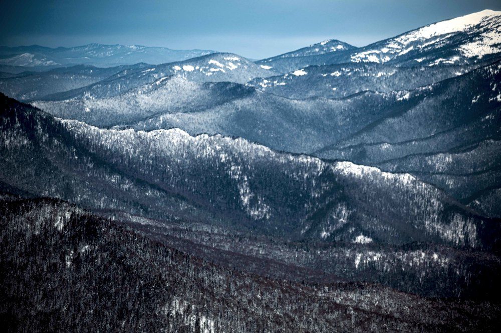 Photograph by Светлана Андреева