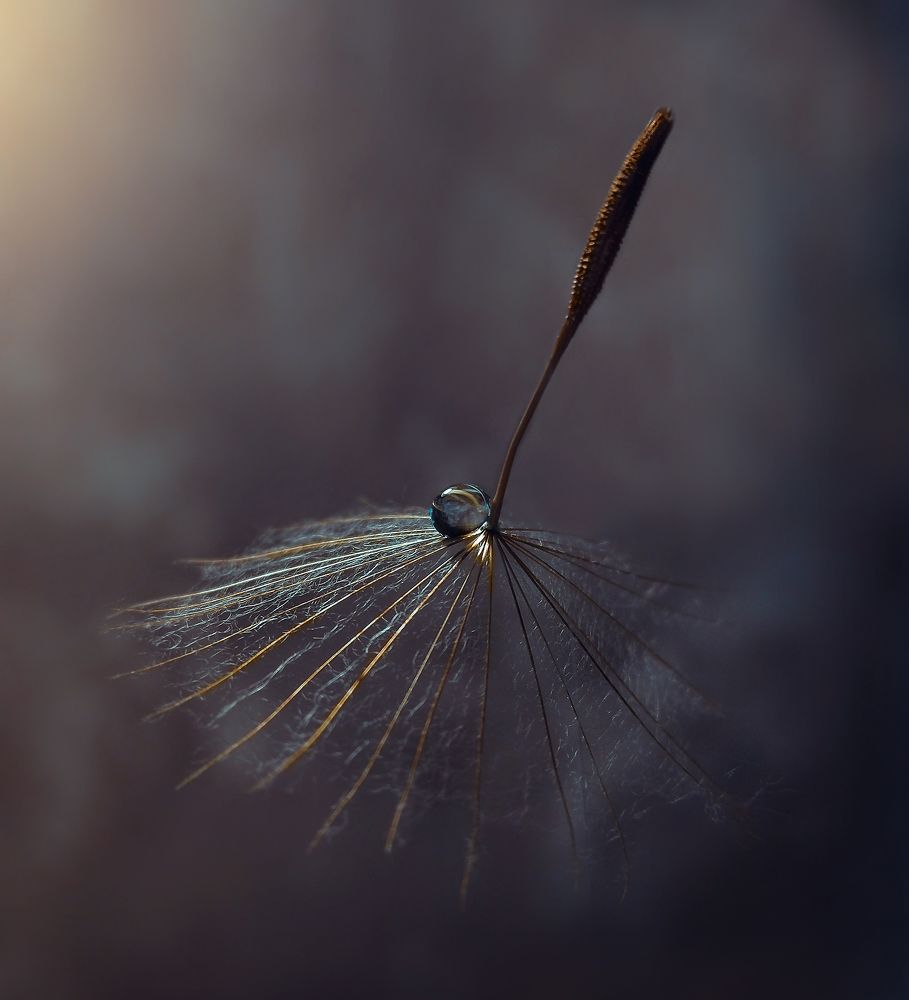 Невесомость