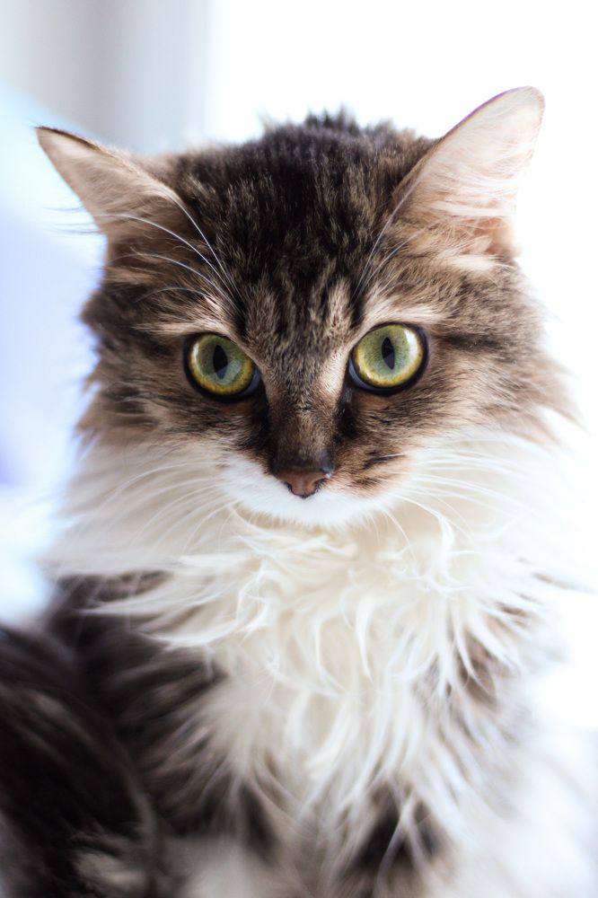 Photograph by Mari Kir