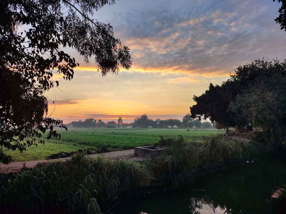 Photograph by Abdalla Khames