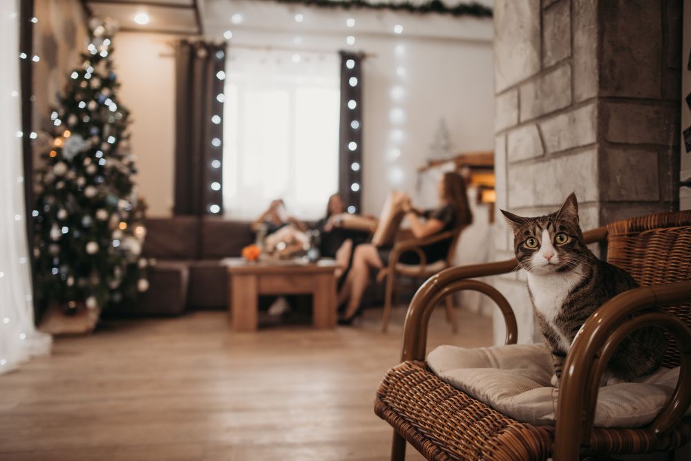 Photograph by Екатерина Гайдук