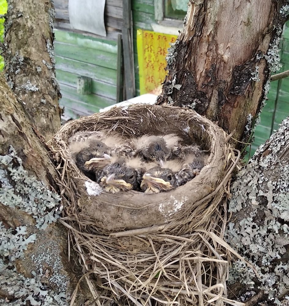 Photograph by Анна Виноградова