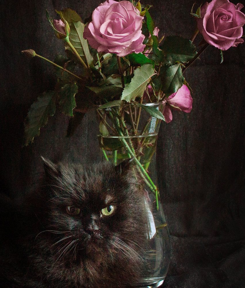 Photograph by Наталья Касимова