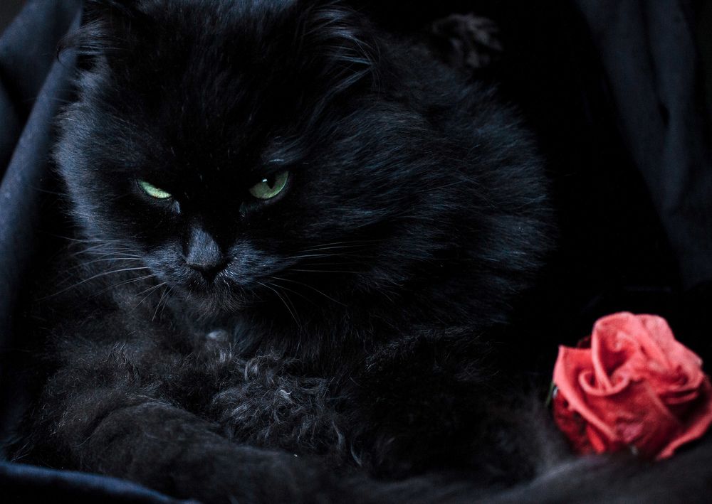 Photograph by Наталья Касимова