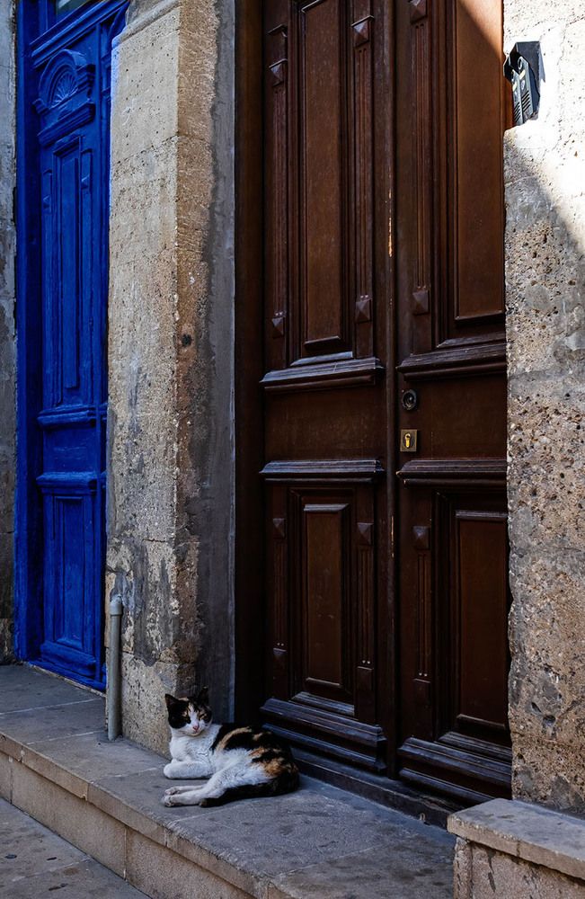 Photograph by Диляра Шарифзаде