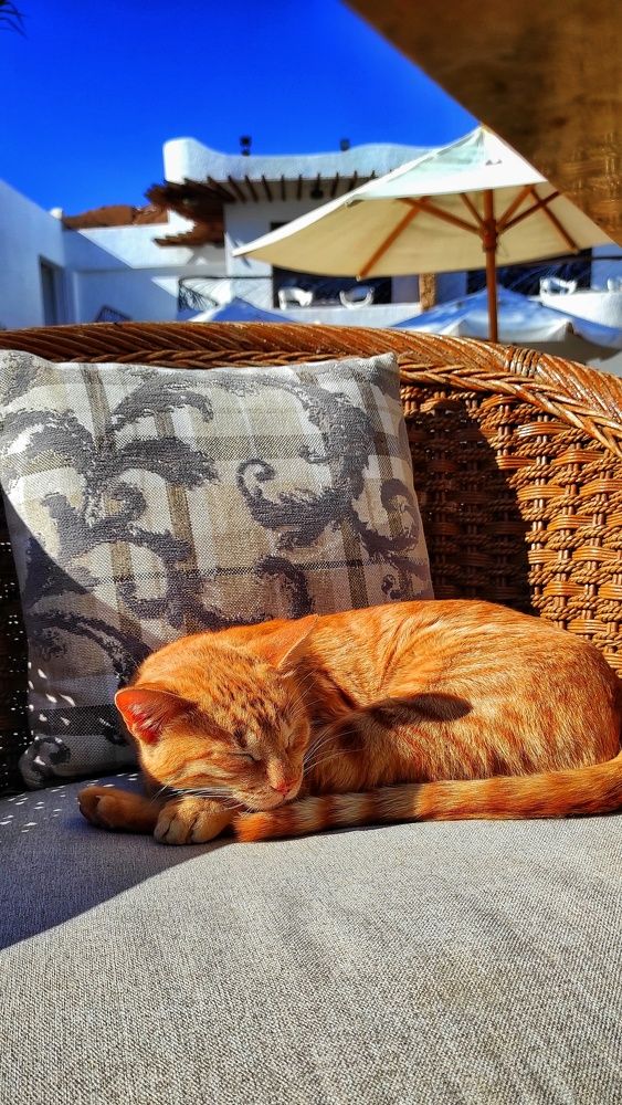 Photograph by Наталья Рау