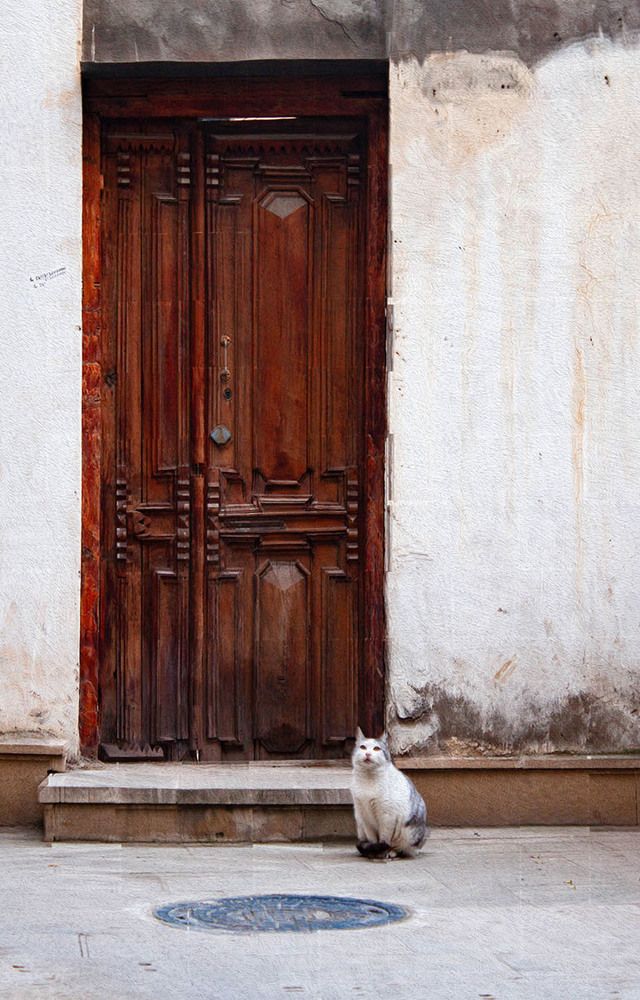 Охрана не спит