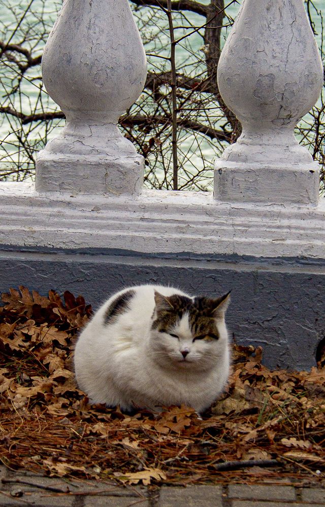 Photograph by Дмитрий Селицкий