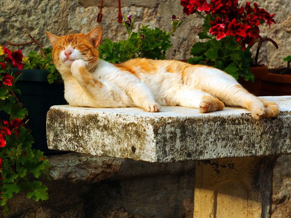 Photograph by Anna Zelinskaya