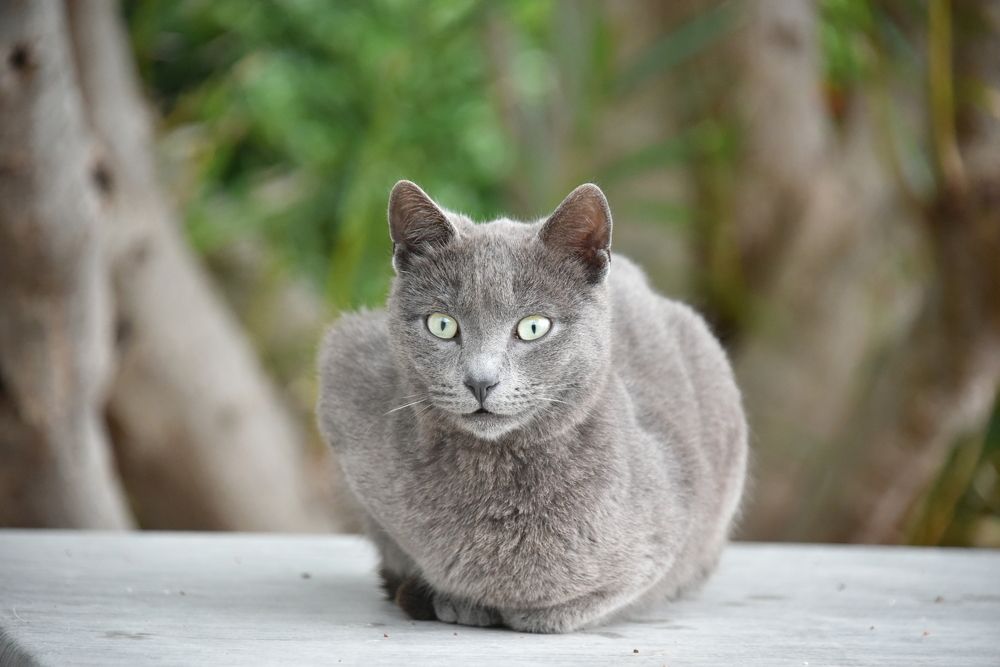 Photograph by Anna Zelinskaya