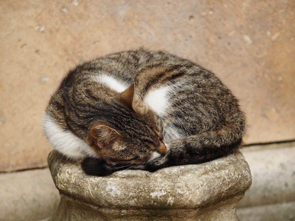 Photograph by Anna Zelinskaya