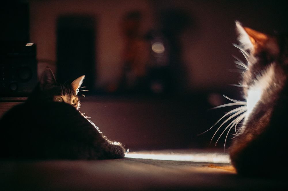 Photograph by Валерия Паули