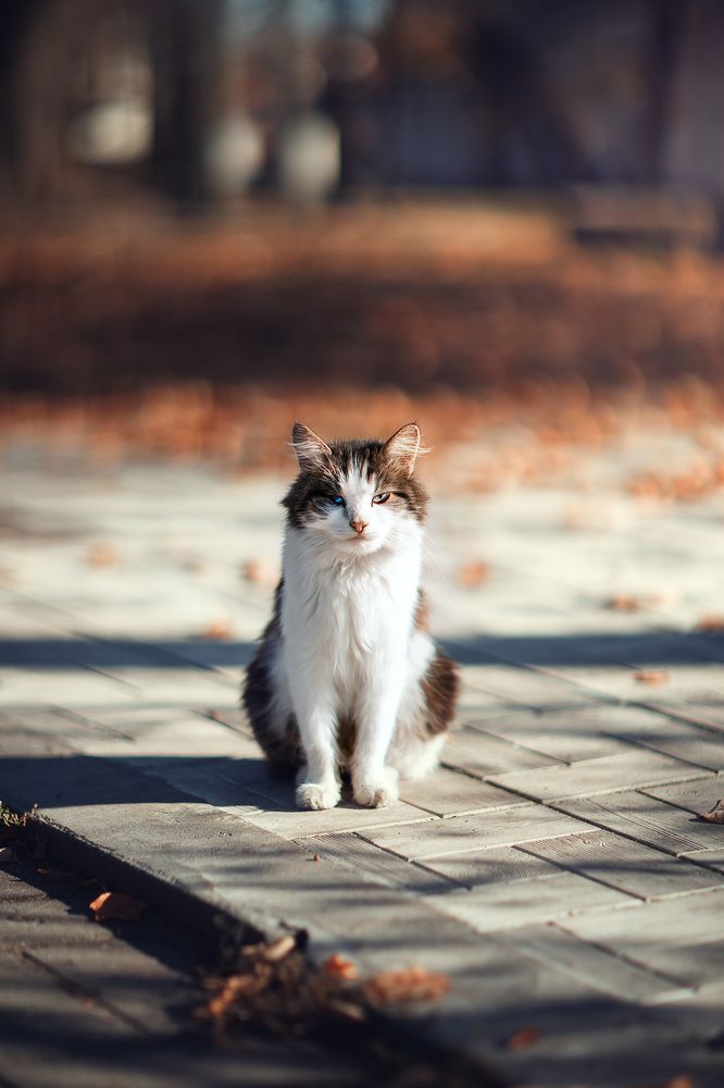 Photograph by Алина Аристова