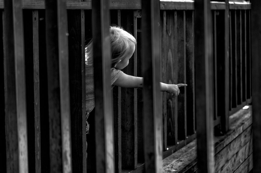 Любознательность