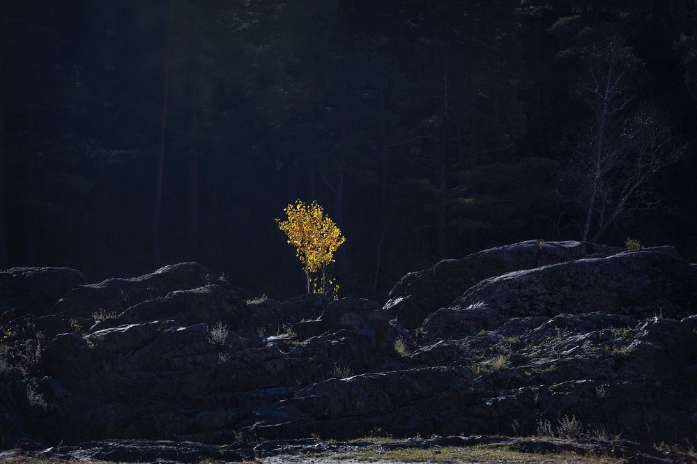 Photograph by Дмитрий Юдин