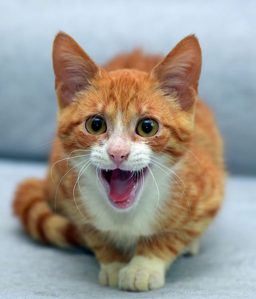 Photograph by Анна Кривицкая