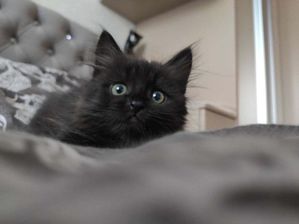 Photograph by Elvira Magsumova