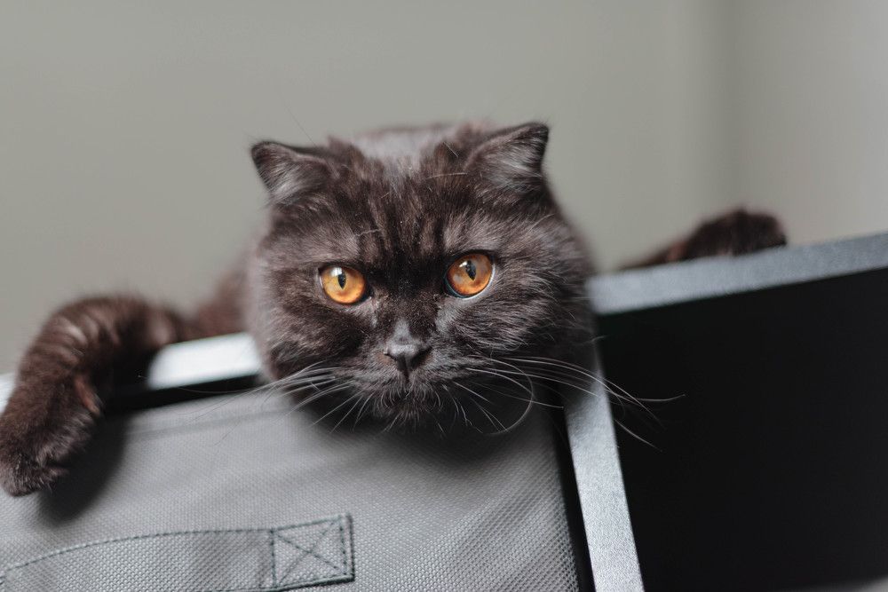 Photograph by Анастасия Жучкова