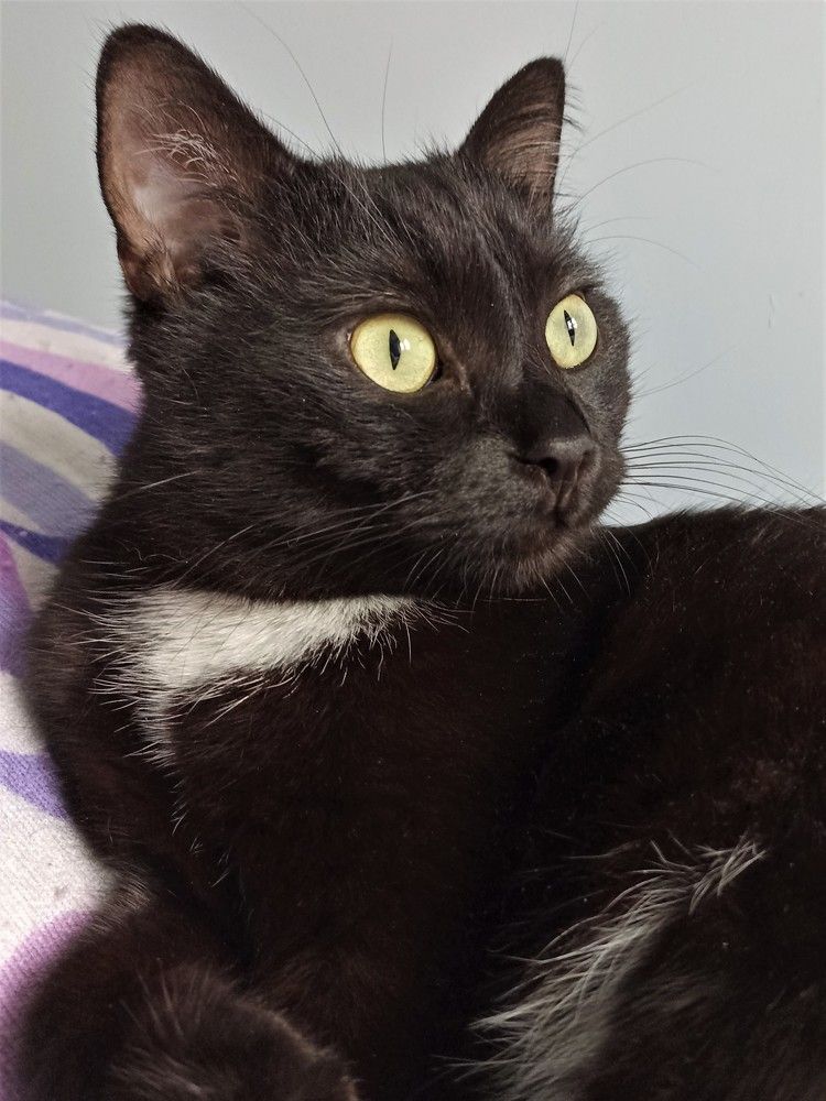 Photograph by Алия Байсыкова