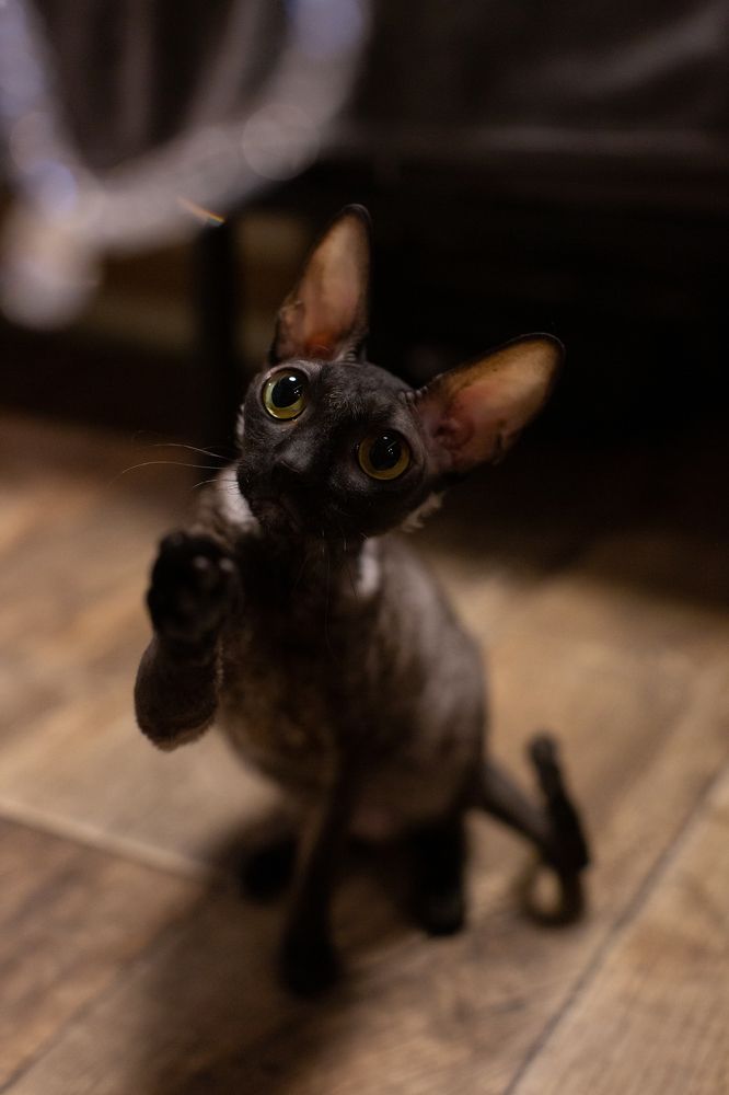 Photograph by Ольга Станкова