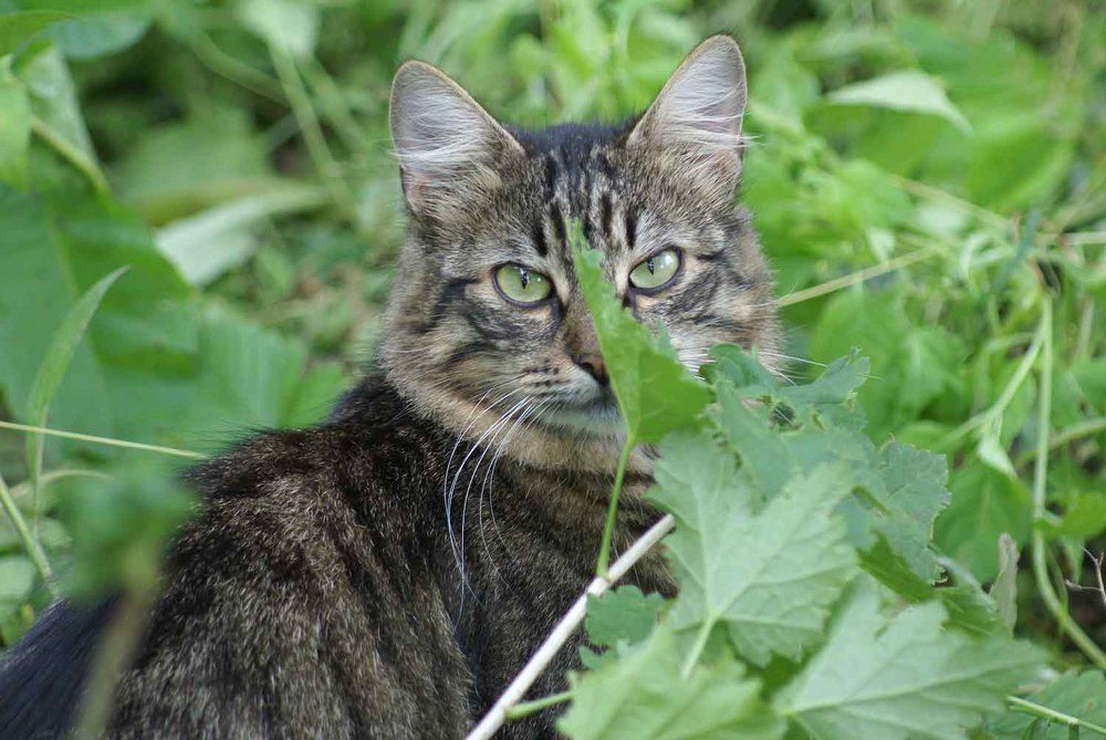 Photograph by Игорь Пшеничников