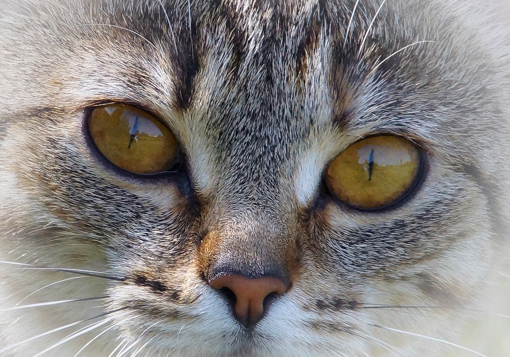 Photograph by Анатолий Максимов