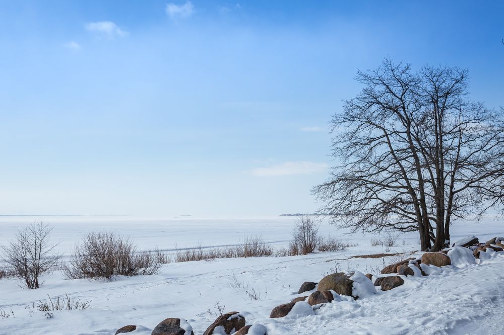 Photograph by Светлана Саиди