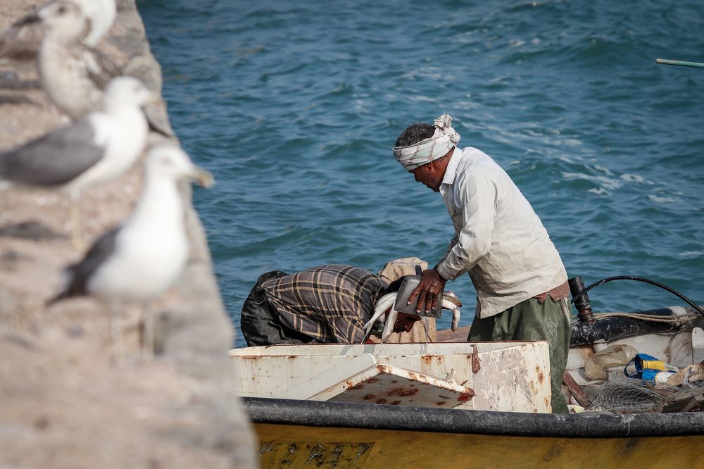 Photograph by Евгений Степанов