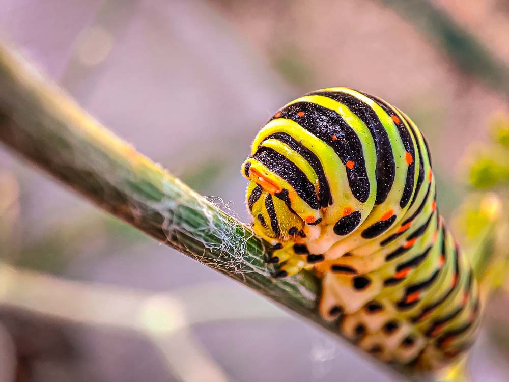 Photograph by Николай Яковлев