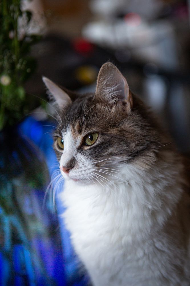 Photograph by Светлана Саиди