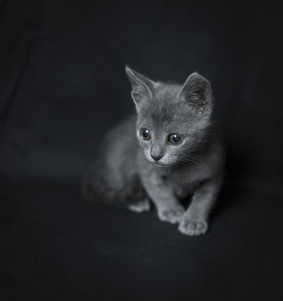 Photograph by Светлана Саиди