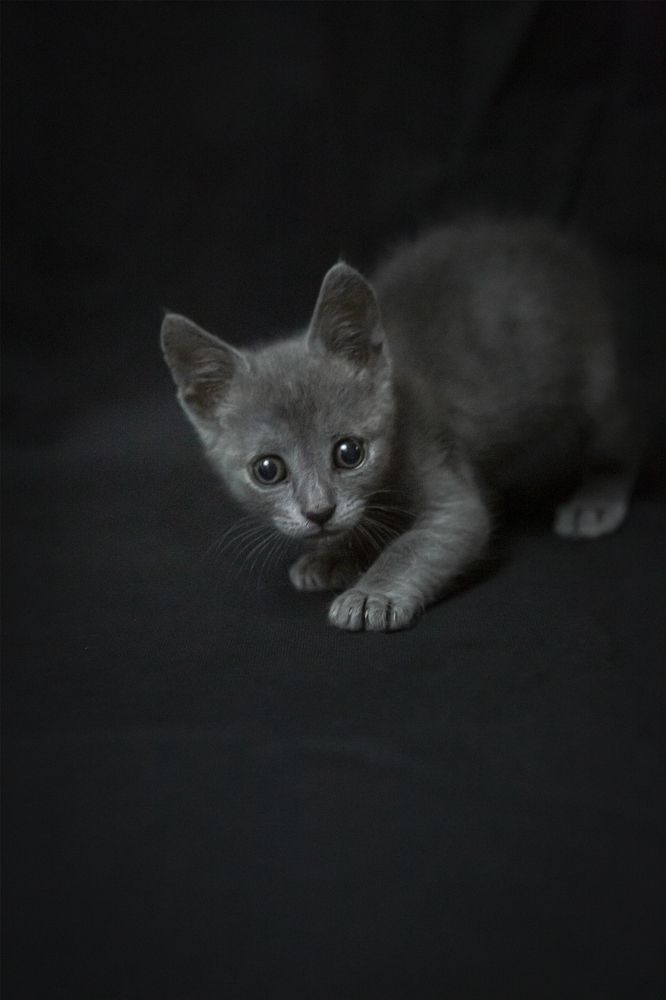 Photograph by Светлана Саиди