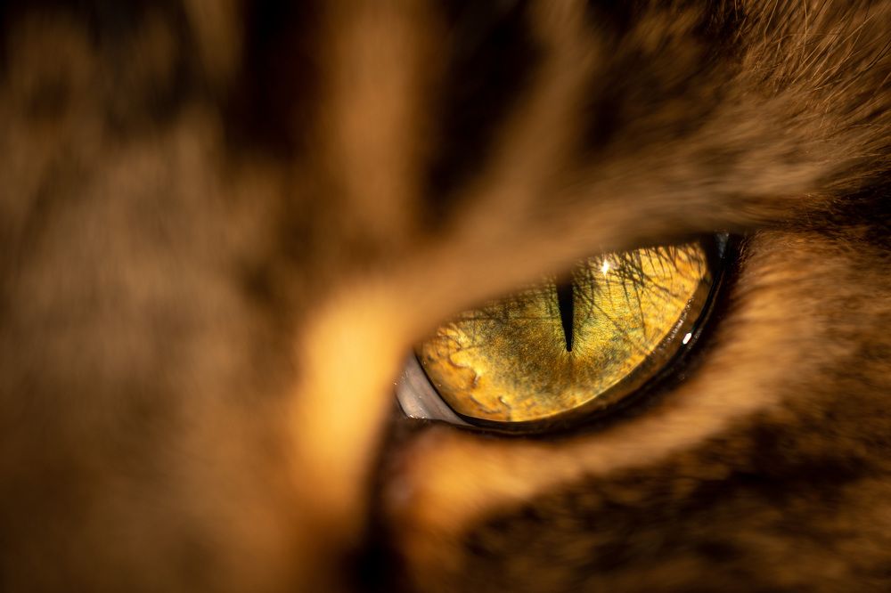 Photograph by Алан Гасымов