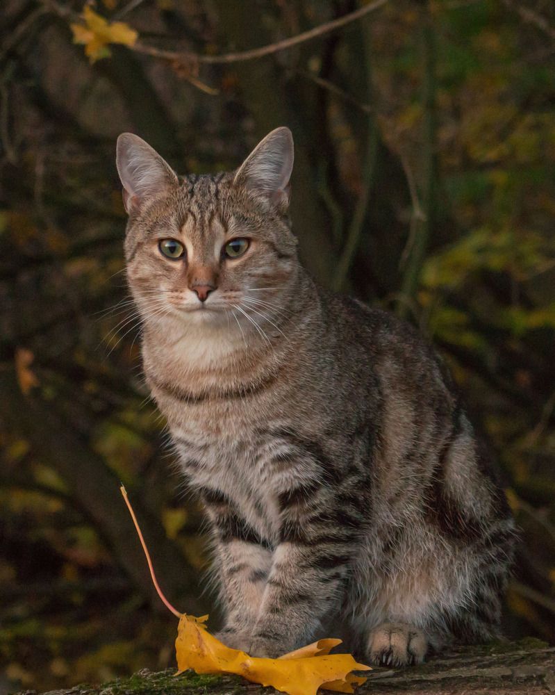 Photograph by Светлана Кондрашова