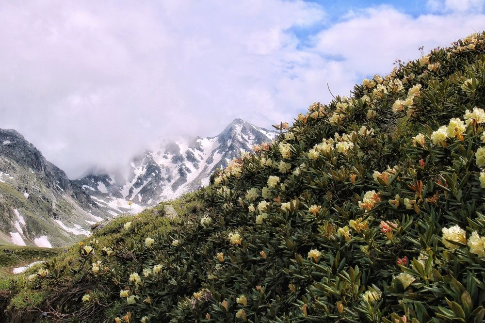 Photograph by Моргунов Михаил