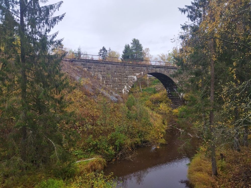 Photograph by Николай