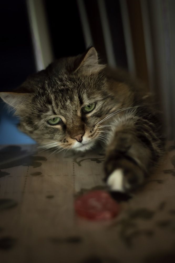 Photograph by Евгения Баширова