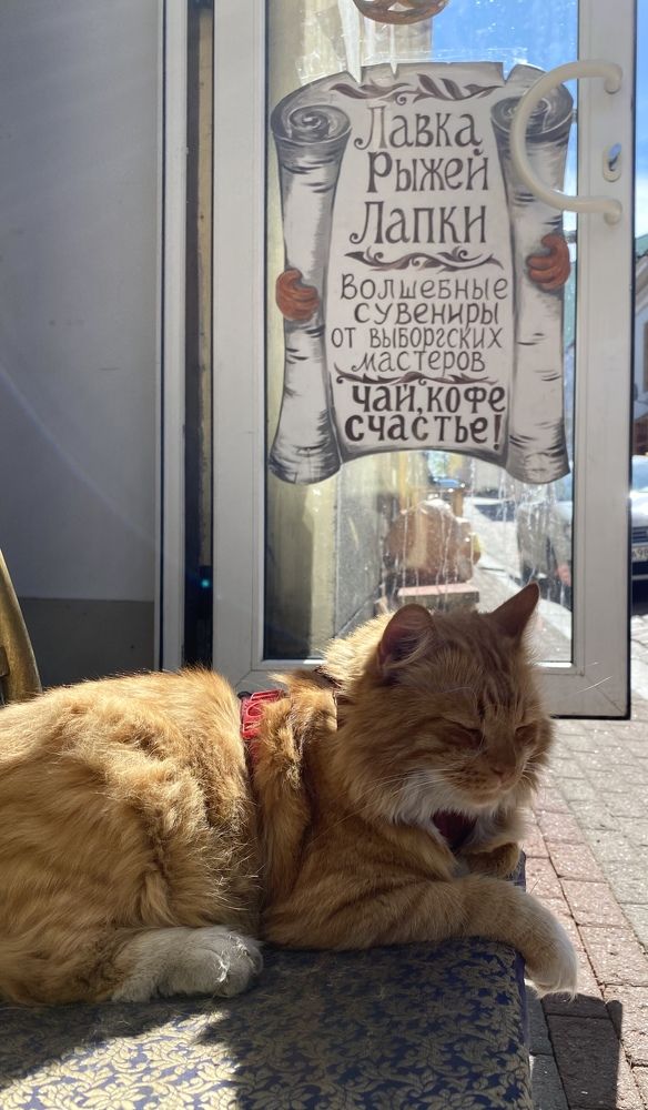 Photograph by Алиса Лукина