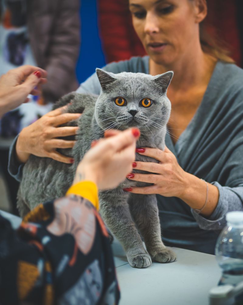 Photograph by Omer Gojak