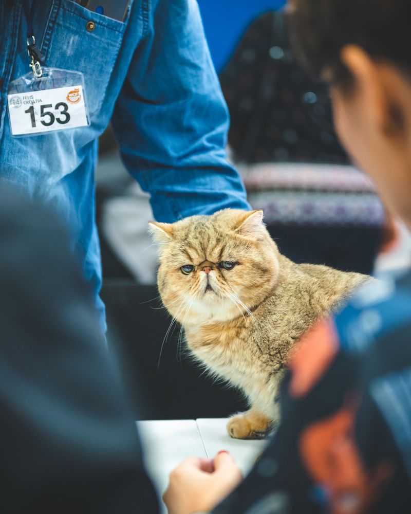 Photograph by Omer Gojak